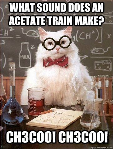 whAT SOUND DOES An ACETATE TRAIN MAKE? CH3COO! CH3COO!  Chemistry Cat