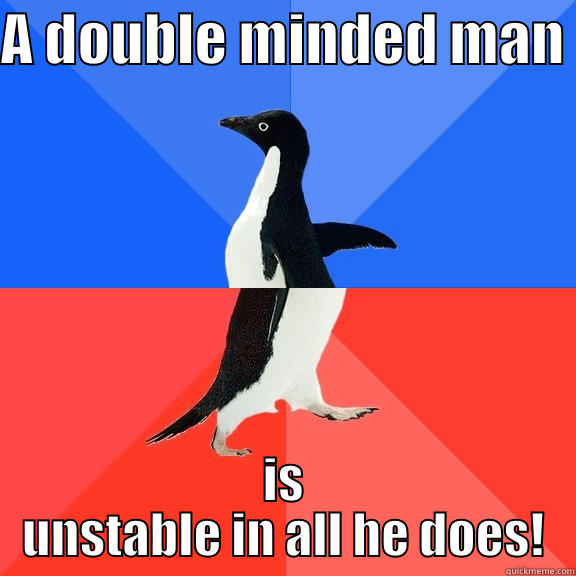 A double minded man - A DOUBLE MINDED MAN  IS UNSTABLE IN ALL HE DOES! Socially Awkward Awesome Penguin