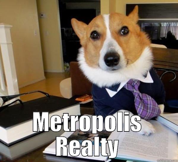  METROPOLIS REALTY Lawyer Dog