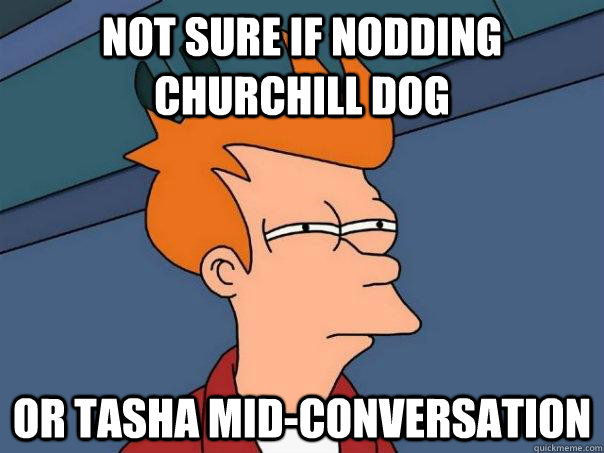 not sure if nodding churchill dog or tasha mid-conversation  Futurama Fry