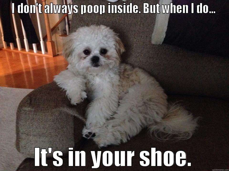 poop in show - I DON'T ALWAYS POOP INSIDE. BUT WHEN I DO... IT'S IN YOUR SHOE. Misc