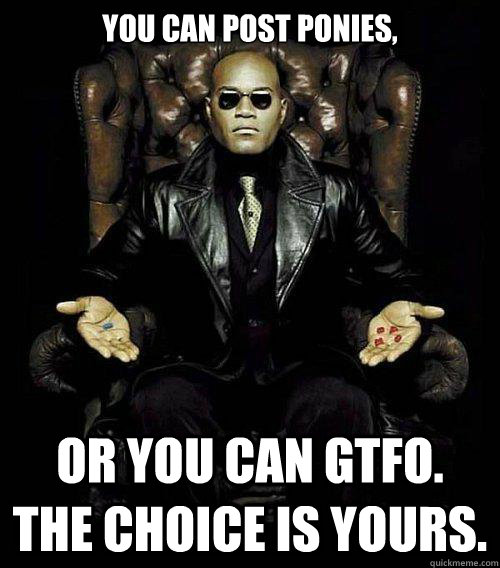 You can post ponies, or you can gtfo. the choice is yours.  Morpheus