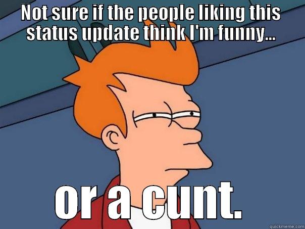 Fry CJF - NOT SURE IF THE PEOPLE LIKING THIS STATUS UPDATE THINK I'M FUNNY... OR A CUNT. Futurama Fry