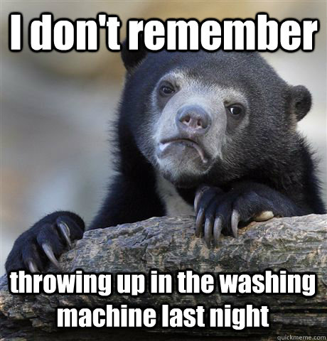 I don't remember throwing up in the washing machine last night  Confession Bear