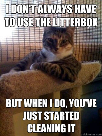 I don't always have to use the litterbox But when i do, you've just started cleaning it - I don't always have to use the litterbox But when i do, you've just started cleaning it  The Most Interesting Cat in the World