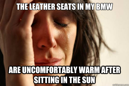 the leather seats in my bmw are uncomfortably warm after sitting in the sun - the leather seats in my bmw are uncomfortably warm after sitting in the sun  First World Problems