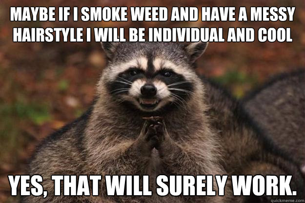 maybe if i smoke weed and have a messy hairstyle i will be individual and cool yes, that will surely work. - maybe if i smoke weed and have a messy hairstyle i will be individual and cool yes, that will surely work.  Evil Plotting Raccoon