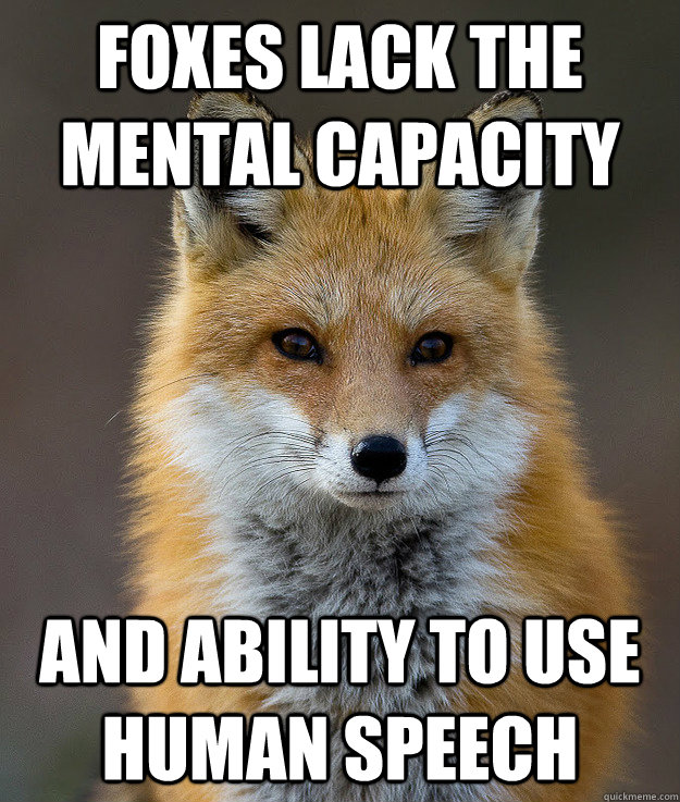 Foxes Lack the mental capacity And ability to use Human Speech  Fun Fact Fox