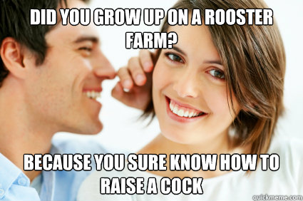 Did you grow up on a rooster farm? because you sure know how to raise a cock  Bad Pick-up line Paul