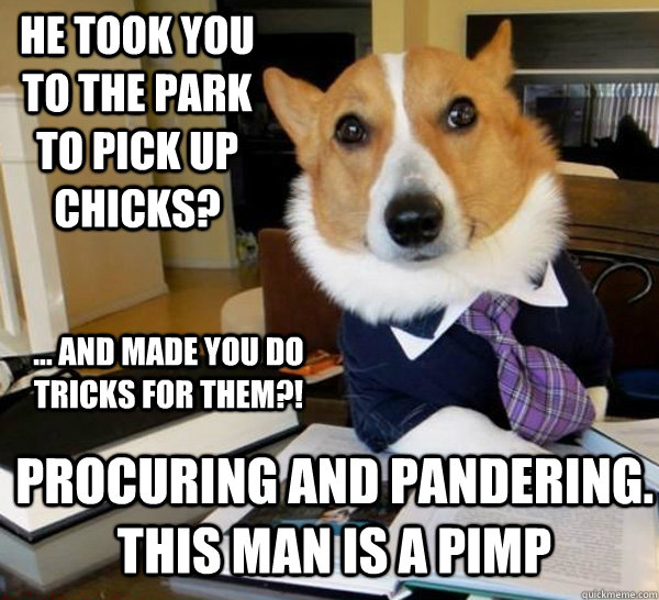 he took you to the park to pick up chicks? procuring and pandering. this man is a pimp ... and made you do tricks for them?!  Lawyer Dog