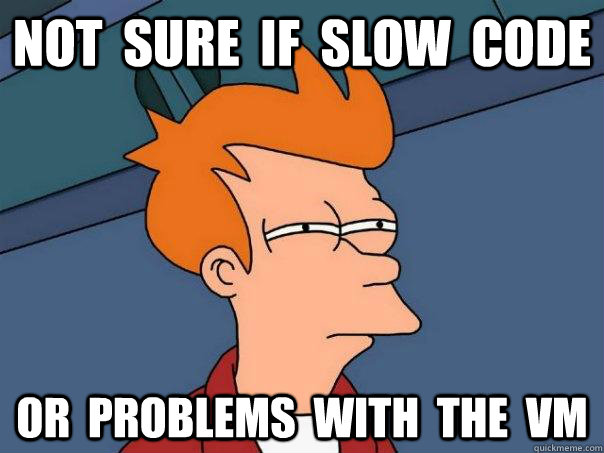 Not  sure  if  slow  code or  problems  with  the  VM  Futurama Fry