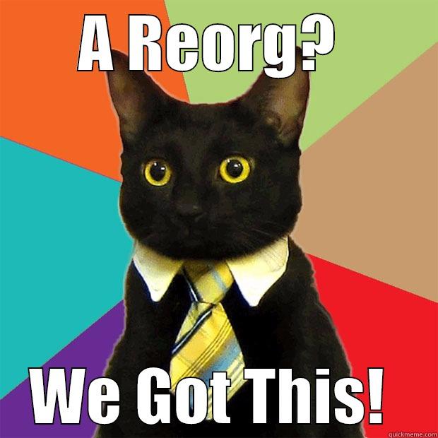 A REORG?  WE GOT THIS!  Business Cat