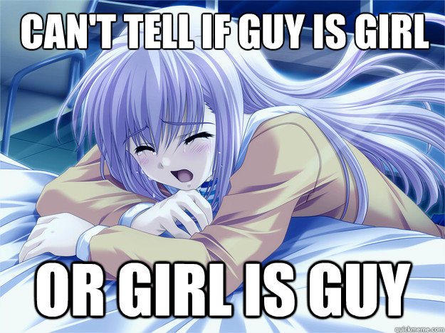 Can't tell if guy is girl or girl is guy - Can't tell if guy is girl or girl is guy  Anime world problems