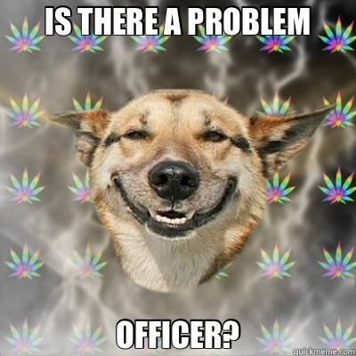 IS THERE A PROBLEM OFFICER?  Stoner Dog