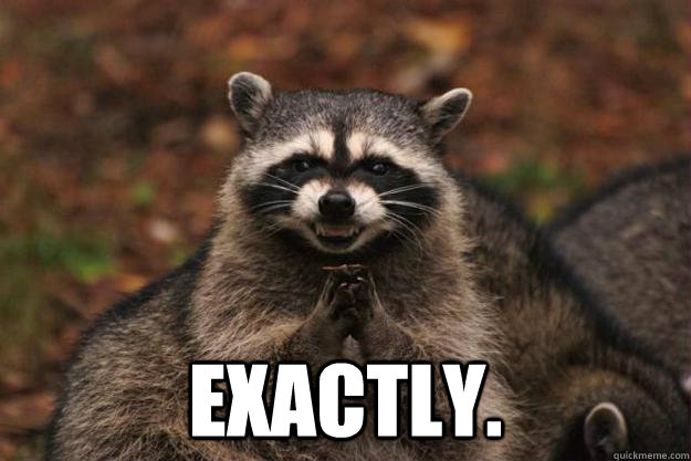 Break into paranoid parrot's house twice a week Exactly. - Break into paranoid parrot's house twice a week Exactly.  Evil Plotting Raccoon