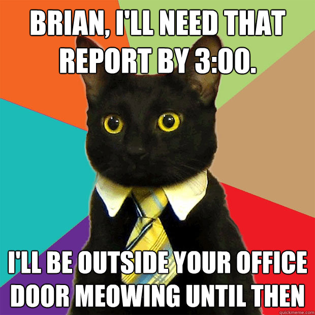 Brian, i'll need that report by 3:00. I'll be outside your office door meowing until then  Business Cat