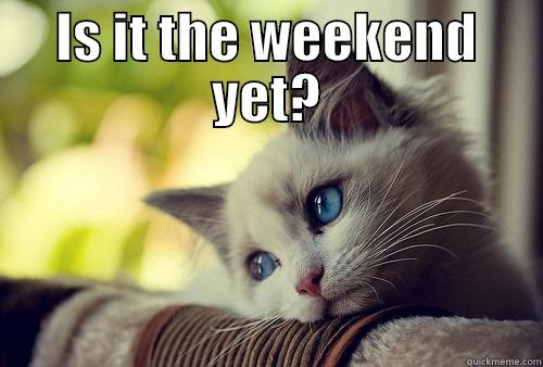 IS IT THE WEEKEND YET?  First World Problems Cat