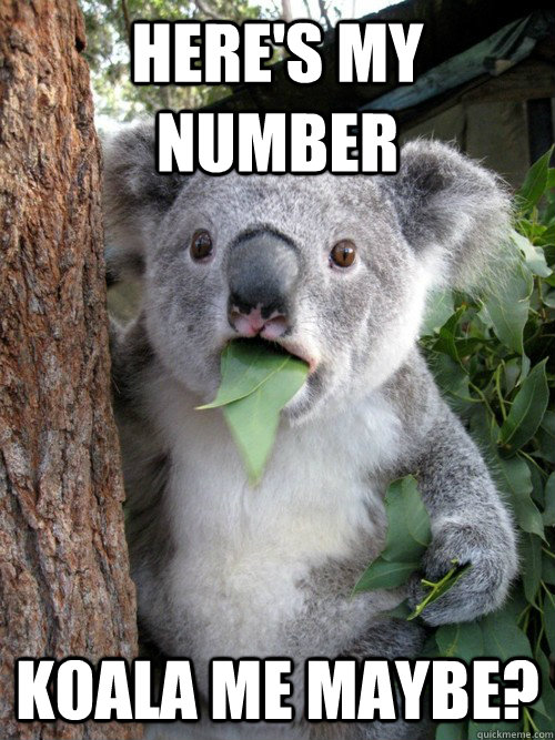 Here's my number Koala me maybe? - Here's my number Koala me maybe?  koala bear