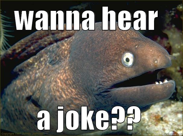 WANNA HEAR  A JOKE?? Bad Joke Eel