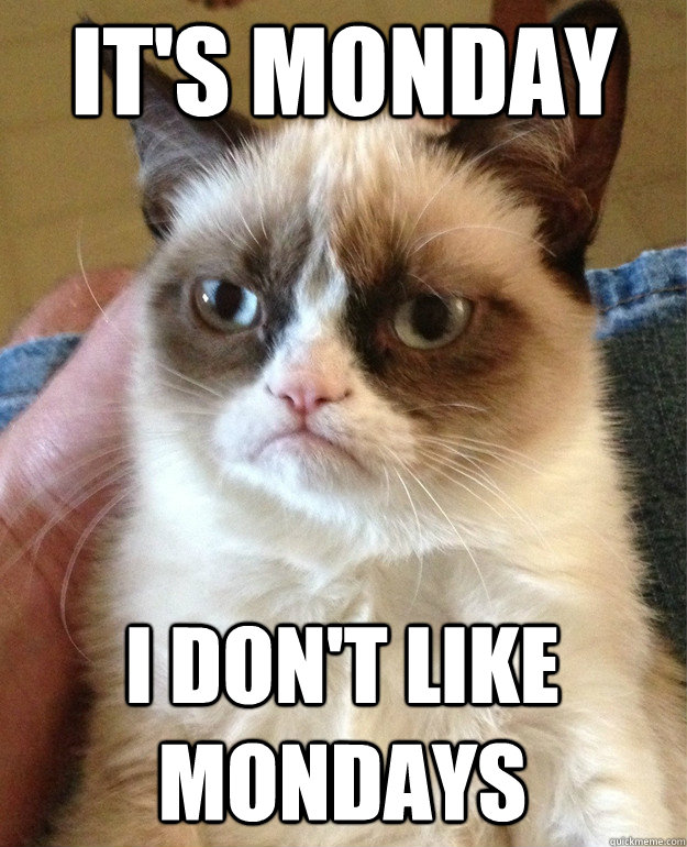 It's Monday I don't like Mondays  Grumpy Cat