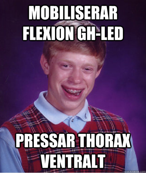 Mobiliserar flexion GH-led Pressar thorax ventralt - Mobiliserar flexion GH-led Pressar thorax ventralt  Bad Luck Brian