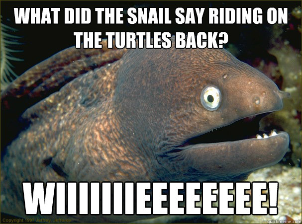 What did the snail say riding on the turtles back? WIIIIIIIEEEEEEEE! - What did the snail say riding on the turtles back? WIIIIIIIEEEEEEEE!  Bad Joke Eel