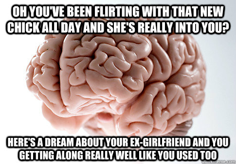 oh you've been flirting with that new chick all day and she's really into you? Here's a dream about your ex-girlfriend and you getting along really well like you used too - oh you've been flirting with that new chick all day and she's really into you? Here's a dream about your ex-girlfriend and you getting along really well like you used too  Scumbag Brain