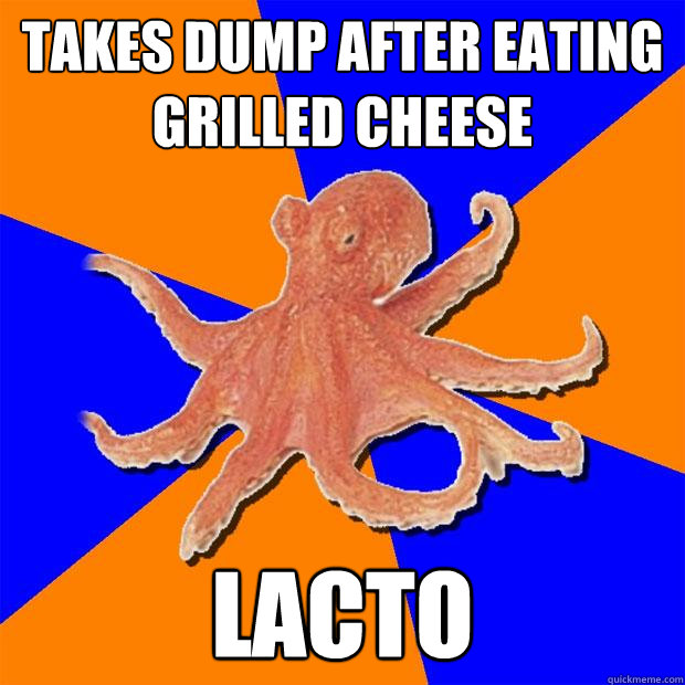 takes dump after eating grilled cheese lacto  Online Diagnosis Octopus