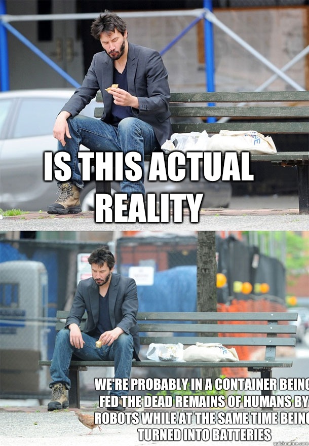 Is this actual reality  We're Probably in a container being fed the dead remains of humans by robots while at the same time being turned into batteries - Is this actual reality  We're Probably in a container being fed the dead remains of humans by robots while at the same time being turned into batteries  Sad Keanu