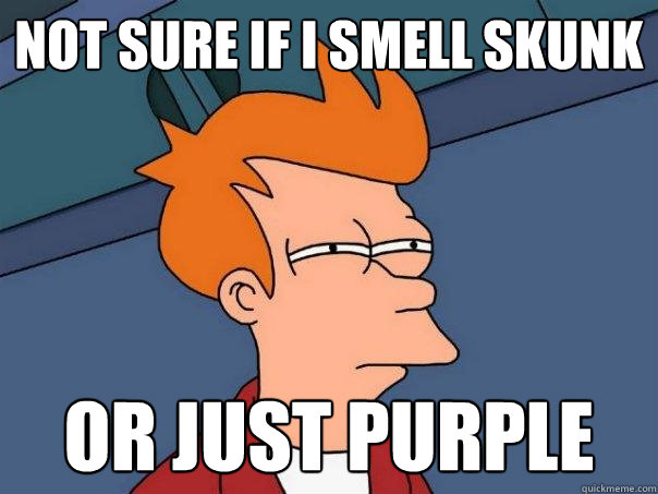 not sure if i smell skunk or just purple  Futurama Fry