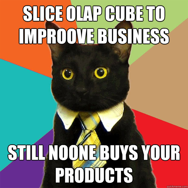 slice olap cube to improove business still noone buys your products  Business Cat