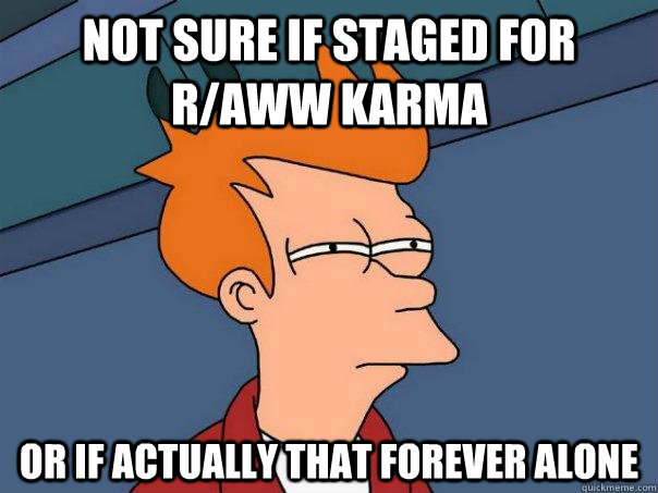 Not sure if staged for r/aww karma or if actually that forever alone  Futurama Fry