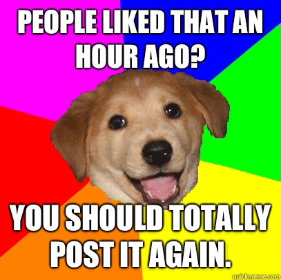 People liked that an hour ago? You should totally post it again.   Advice Dog