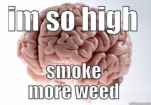 IM SO HIGH SMOKE MORE WEED Scumbag Brain