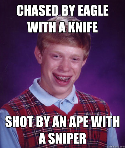 Chased by eagle with a knife Shot by an ape with a sniper  Bad Luck Brian