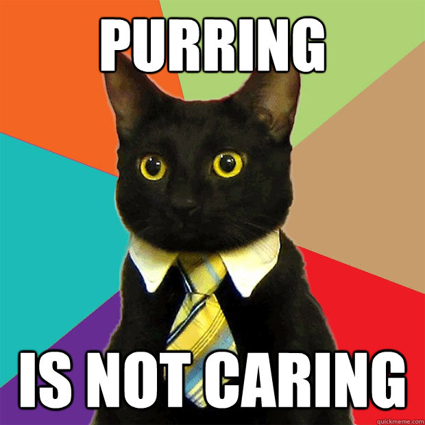 purring  is not caring - purring  is not caring  Business Cat