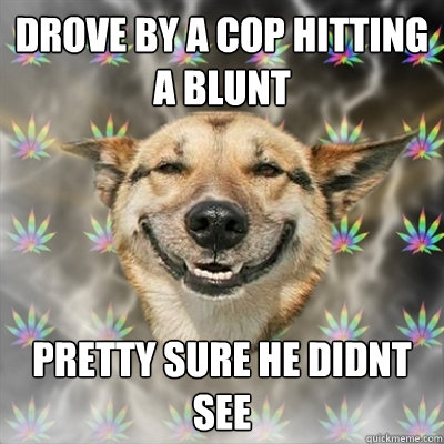 drove by a cop hitting a blunt pretty sure he didnt see  Stoner Dog