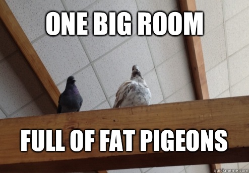 One big room Full of fat pigeons  - One big room Full of fat pigeons   Killer Pigeons