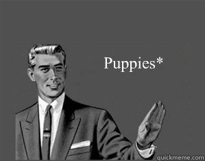 Puppies* - Puppies*  Grammar Guy