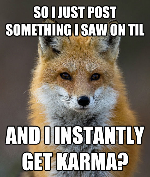 SO I JUST POST SOMETHING I SAW ON TIL AND I INSTANTLY GET KARMA?  Fun Fact Fox