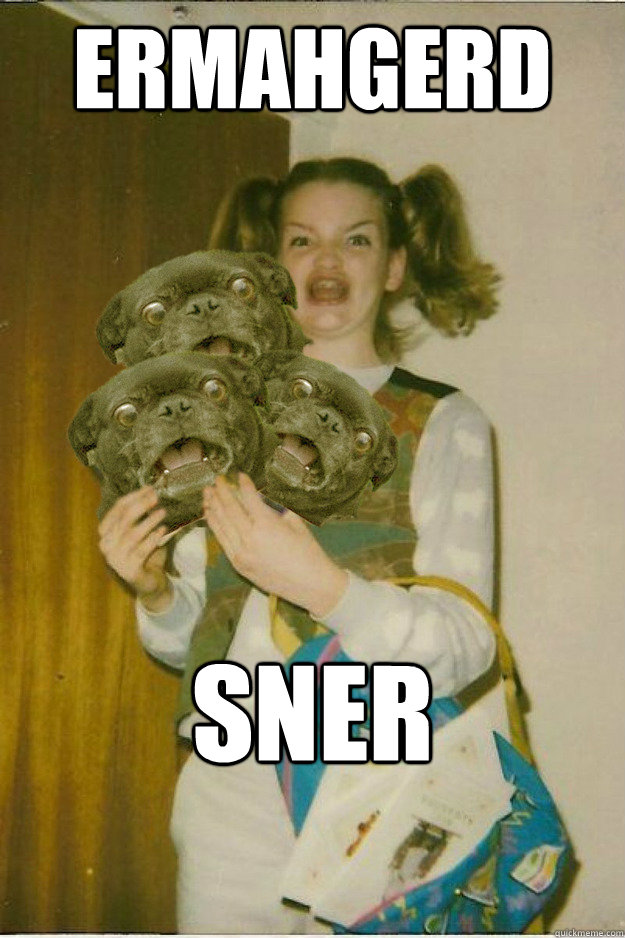 ermahgerd SNER CERNERS! - ermahgerd SNER CERNERS!  ermahgerd dergs