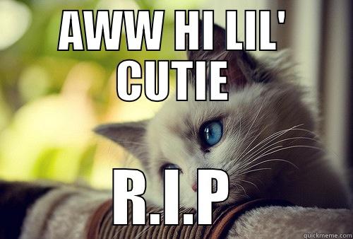 Hi lil' cutie - AWW HI LIL' CUTIE R.I.P First World Problems Cat