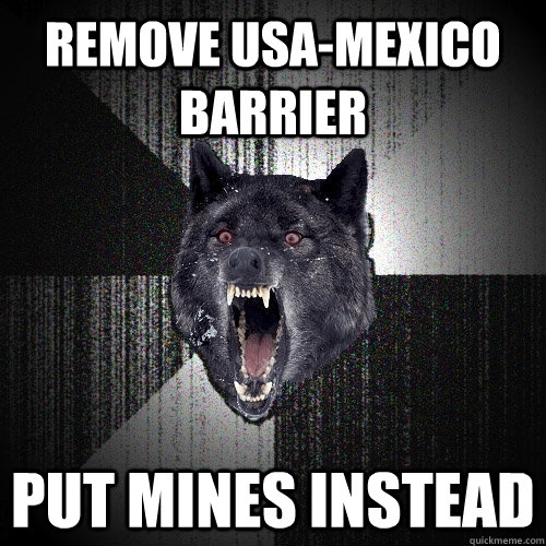 remove USA-Mexico barrier put mines instead  Insanity Wolf