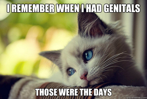 I remember when i had genitals those were the days  First World Problems Cat