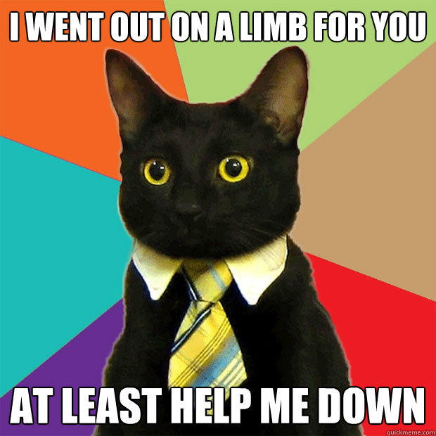 I went out on a limb for you at least help me down - I went out on a limb for you at least help me down  Business Cat