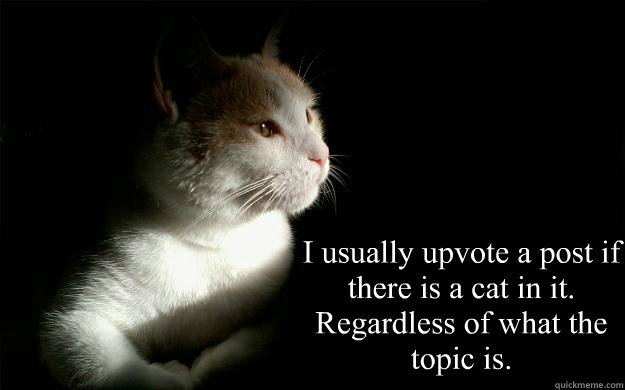 I usually upvote a post if there is a cat in it. 
Regardless of what the topic is. - I usually upvote a post if there is a cat in it. 
Regardless of what the topic is.  Confession Cat