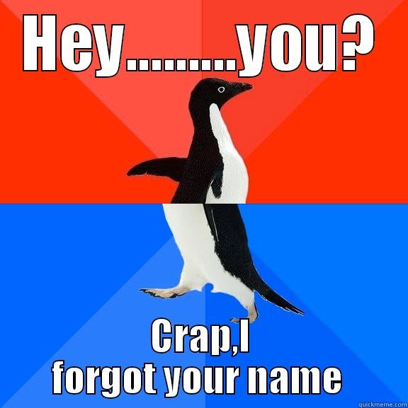 HEY.........YOU? CRAP,I FORGOT YOUR NAME  Socially Awesome Awkward Penguin