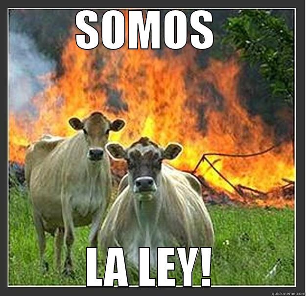 QE ORIGINAL BALLA - SOMOS  LA LEY! Evil cows