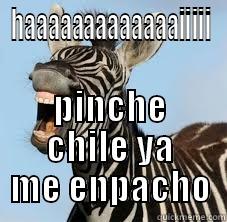 pinche tacos  - HAAAAAAAAAAAAAIIIII PINCHE CHILE YA ME ENPACHO Misc