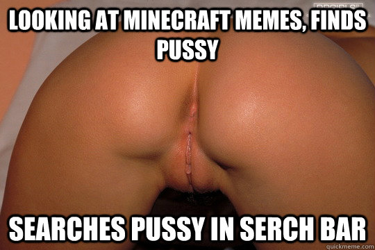 looking at minecraft memes, finds pussy searches pussy in serch bar - looking at minecraft memes, finds pussy searches pussy in serch bar  Minecraft